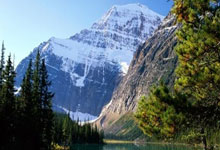 天涯论坛里的言情小说：那些年我们一起追过的爱情